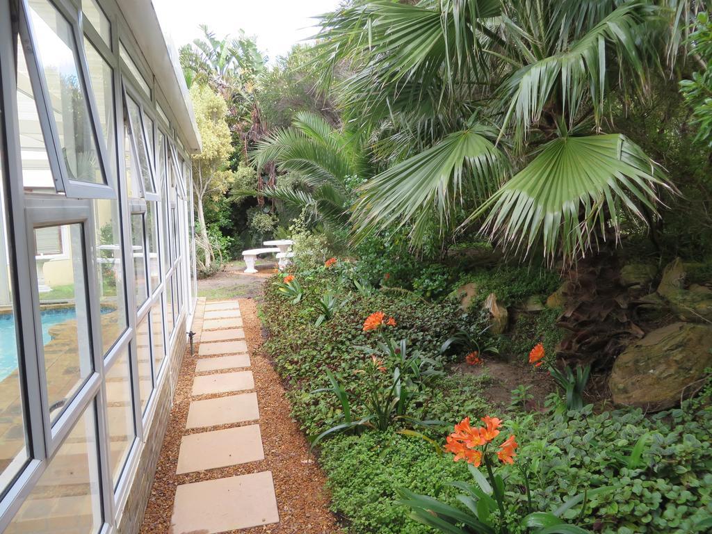 Sunbird Cottage Noordhoek Extérieur photo