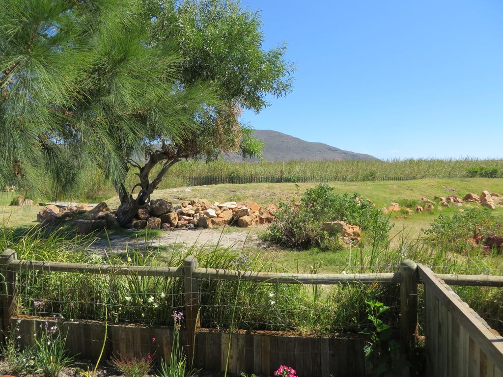 Sunbird Cottage Noordhoek Extérieur photo