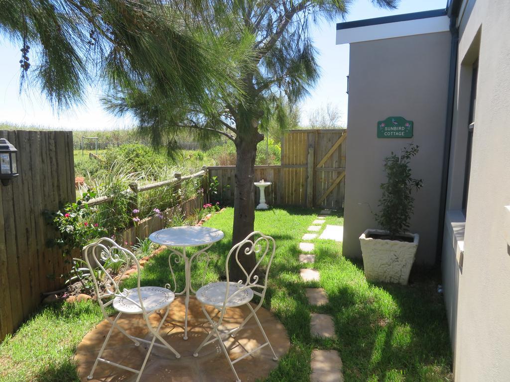 Sunbird Cottage Noordhoek Extérieur photo