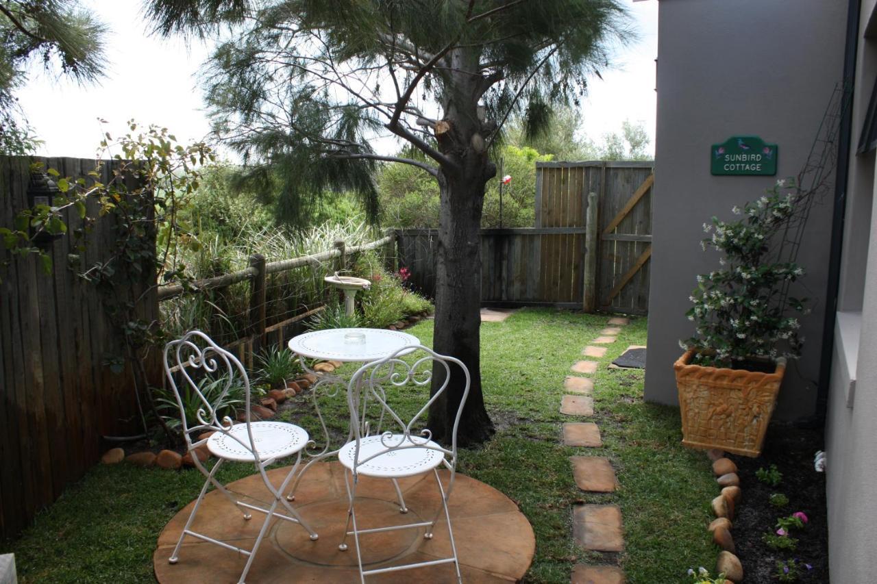 Sunbird Cottage Noordhoek Extérieur photo